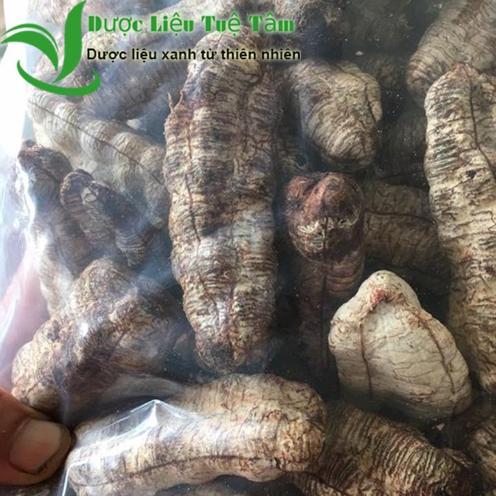 Chuối hột cô đơn - Chuối cô đơn