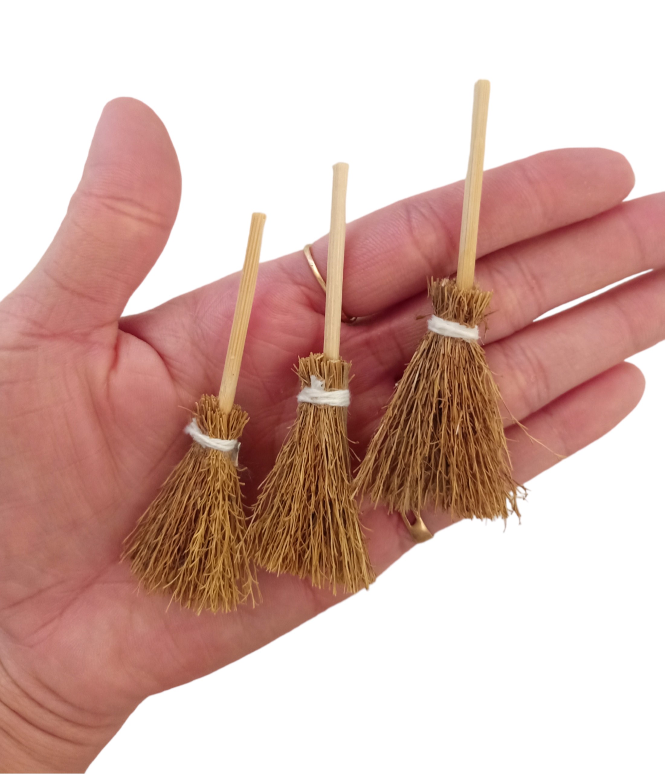 kẹp tóc côn trùng gián,  rết, bò cạp, nhện, rắn