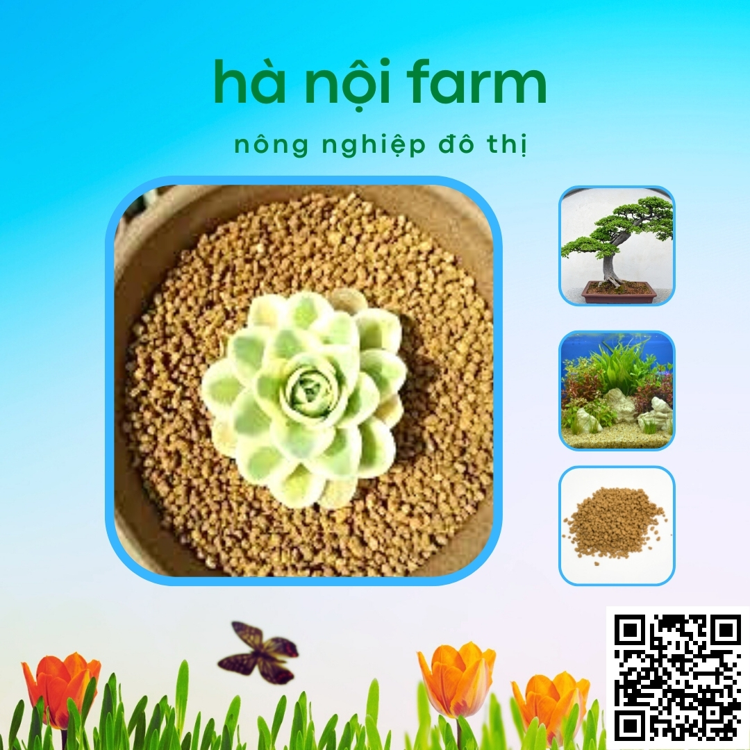 Đất nung Nhật Bản Akadama, Đất nung núi lửa - 1KG