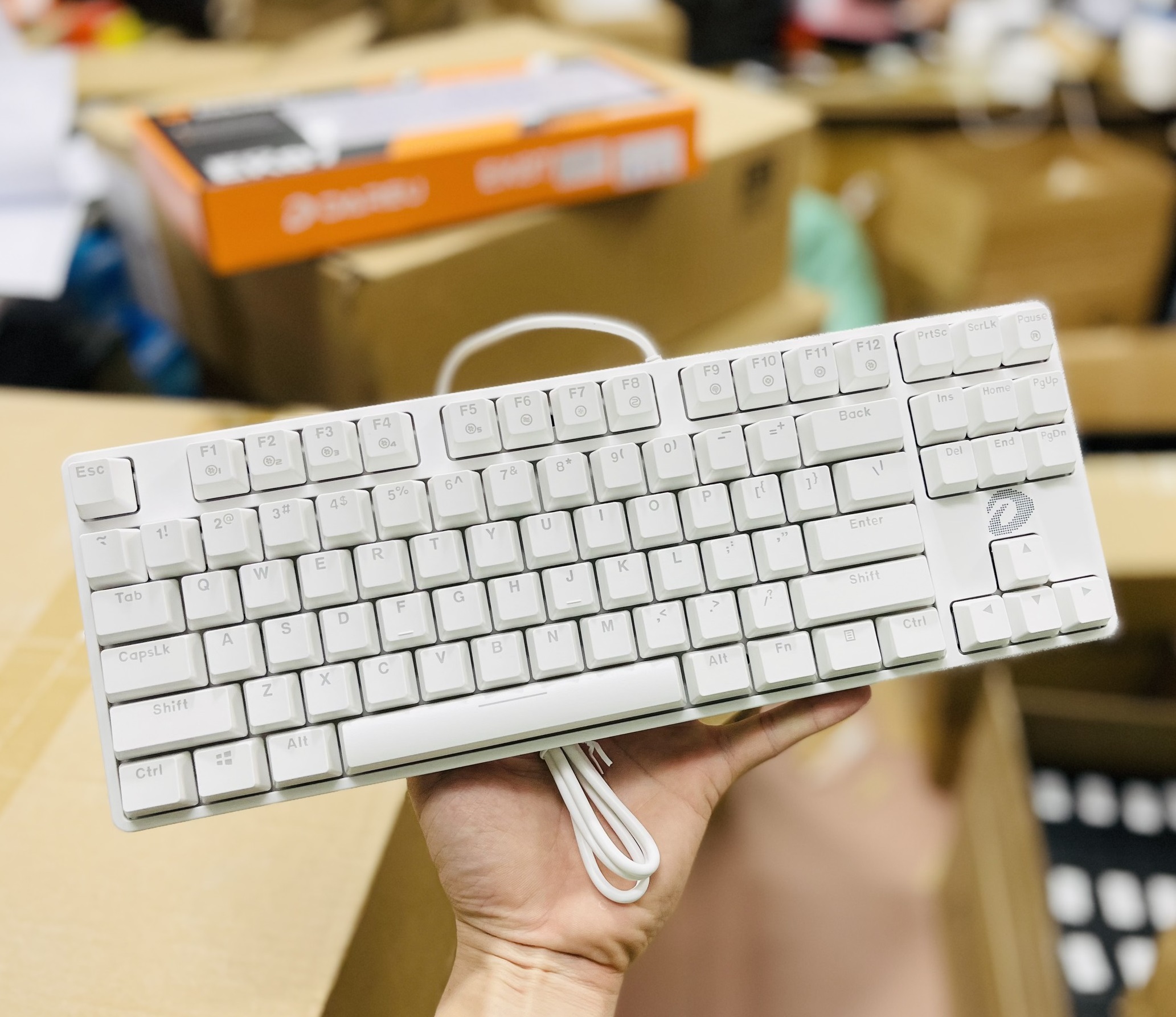 Bàn phím cơ DAREU EK87 Trắng White (Blue/ Brown/ Red D switch)
