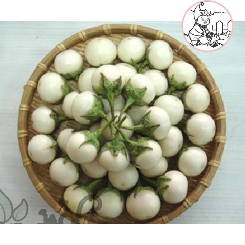 HẠT CÀ PHÁO TRẮNG - GÓI 1 GRAM