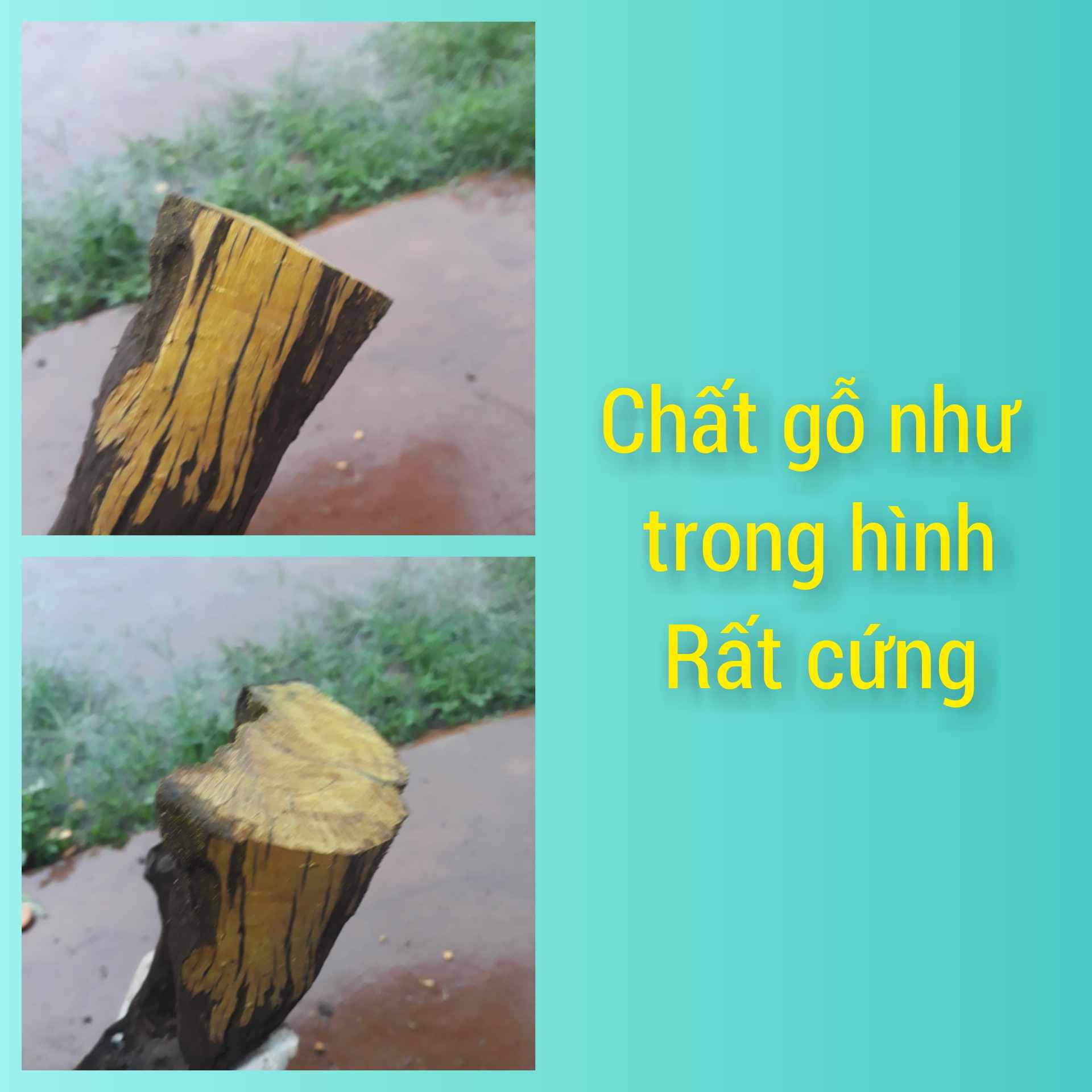Lũa trang trí - Decor, Setup hồ cá, Làm đèn trang trí, thủ công mỹ nghệ, Vintage