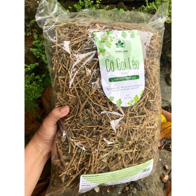 Cà gai leo Hoà Bình (1 kg)