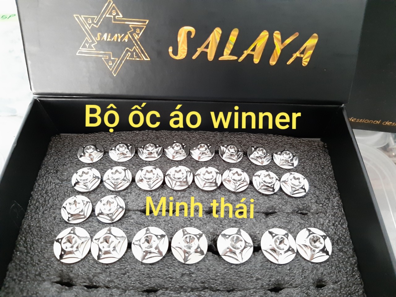 [HCM]ốc áo salaya winner