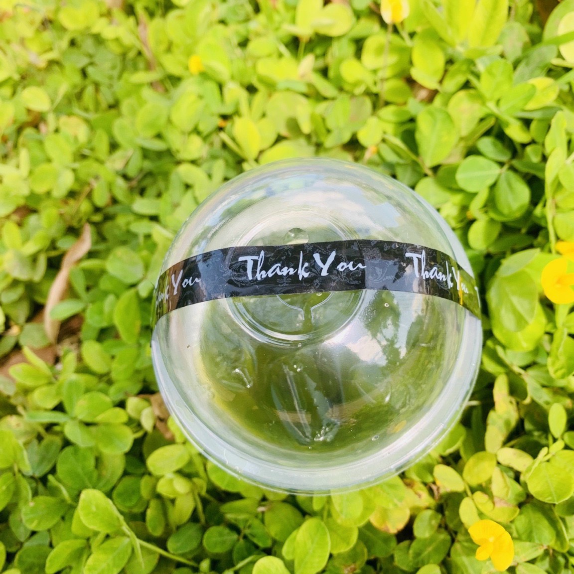 Cuộn băng keo thank you dán ly cafe - nắp hộp afg222