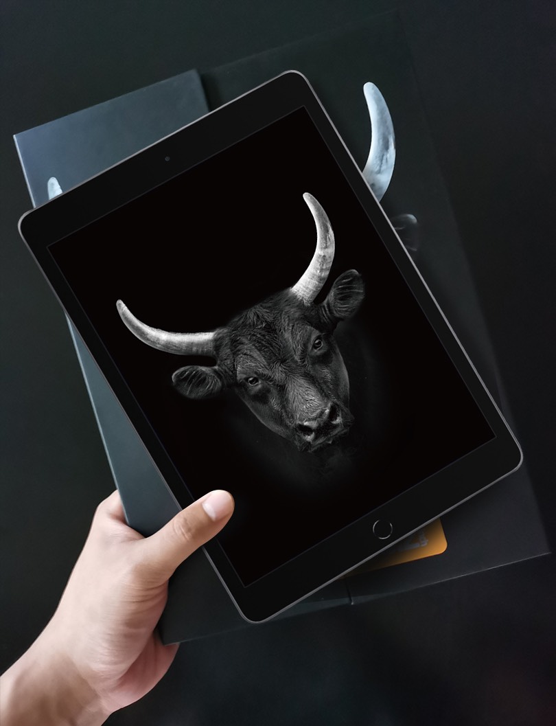 Miếng dán cường lực Mipow Kingbull Premium HD (2.7D) for IPAD ( đủ dòng )