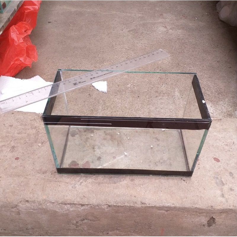 Bể cá mini trang trí viền ( tặng sỏi nền + thức ăn)