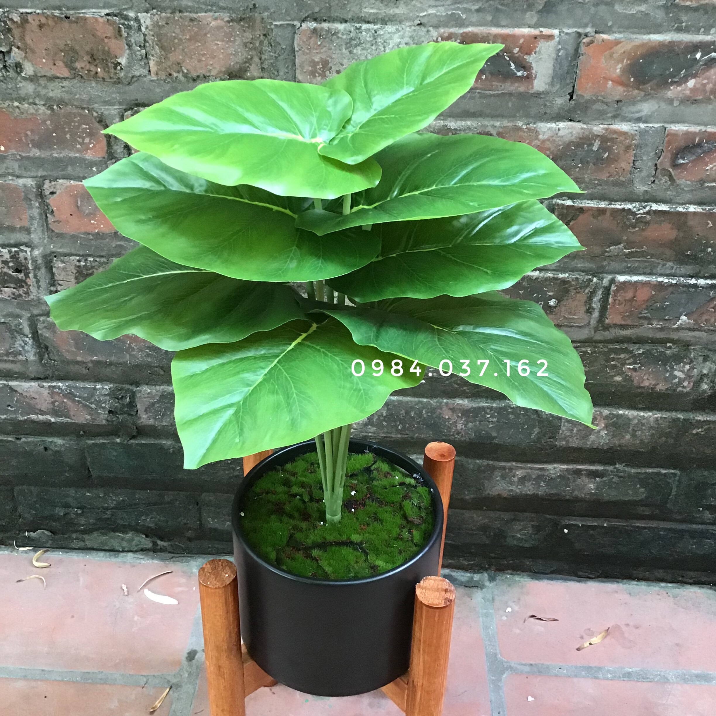 Cây trầu bà giả trang trí, Cây giả