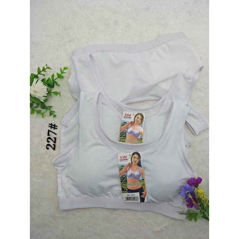Combo 3 áo lá học sinh 227