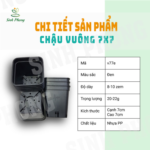 Chậu vuông 7x7 đen (set 50 cái)