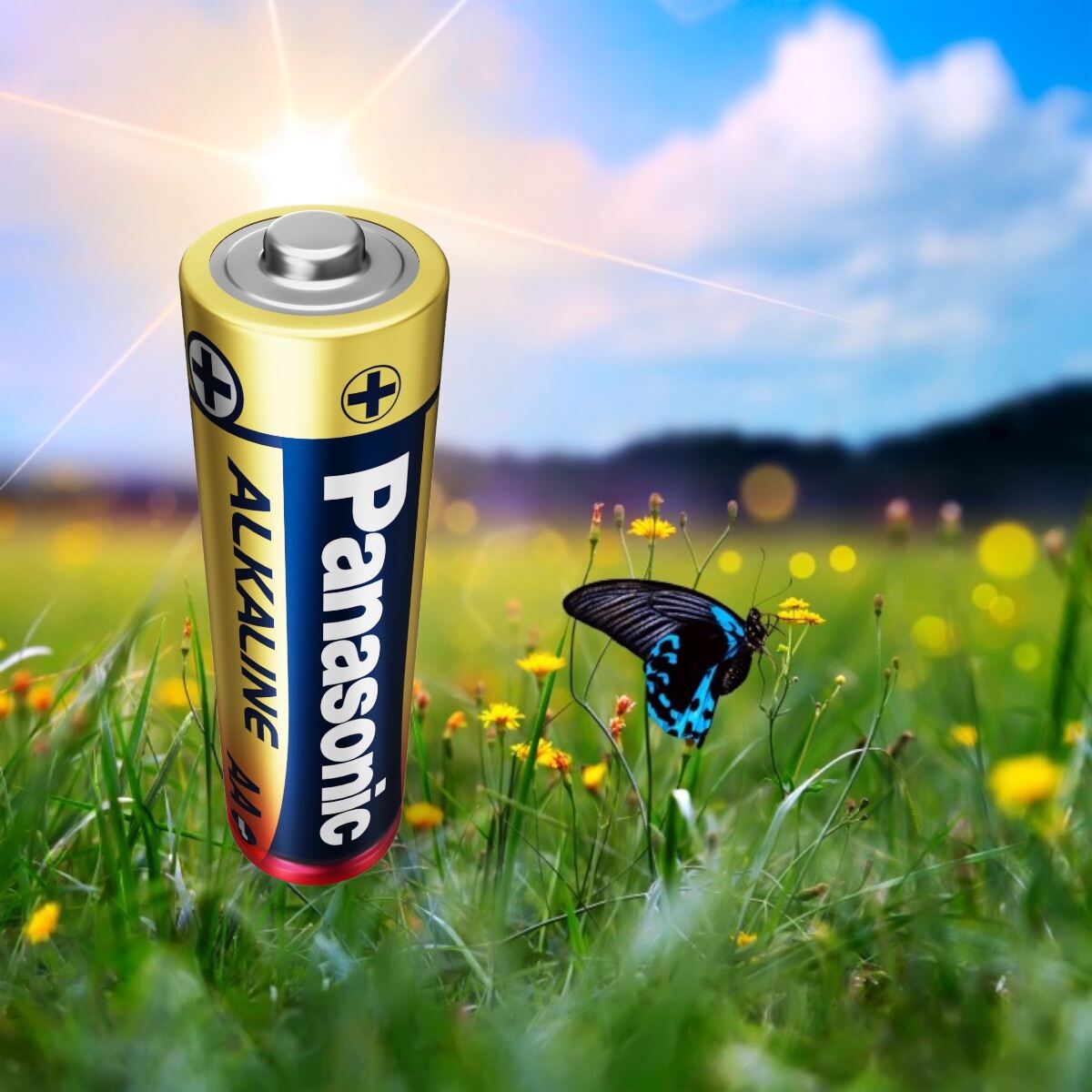 Pin kiềm Alkaline Panasonic AA LR6T/2B (1 vỉ)