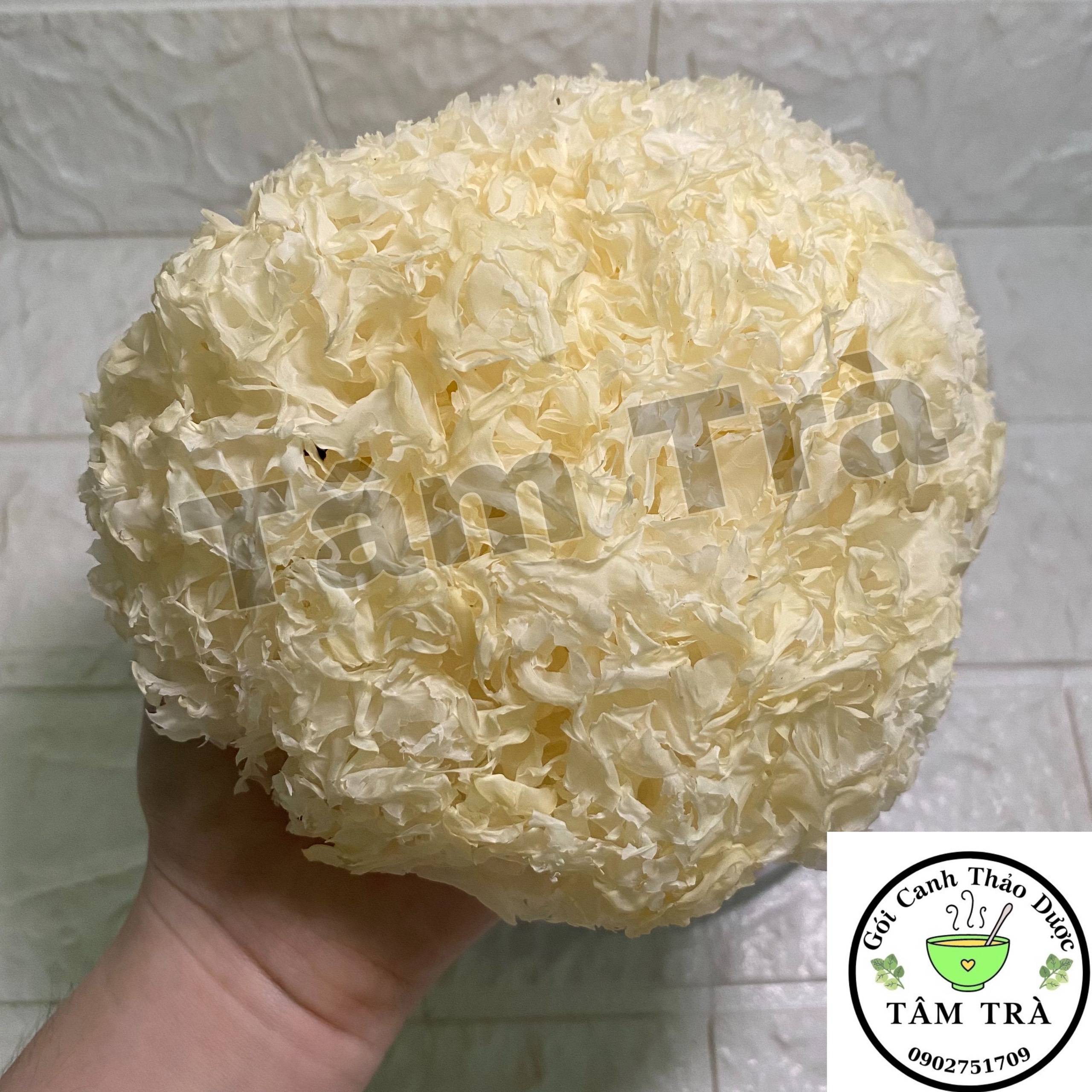 Nấm Tuyết (Ngân Nhĩ) -100g