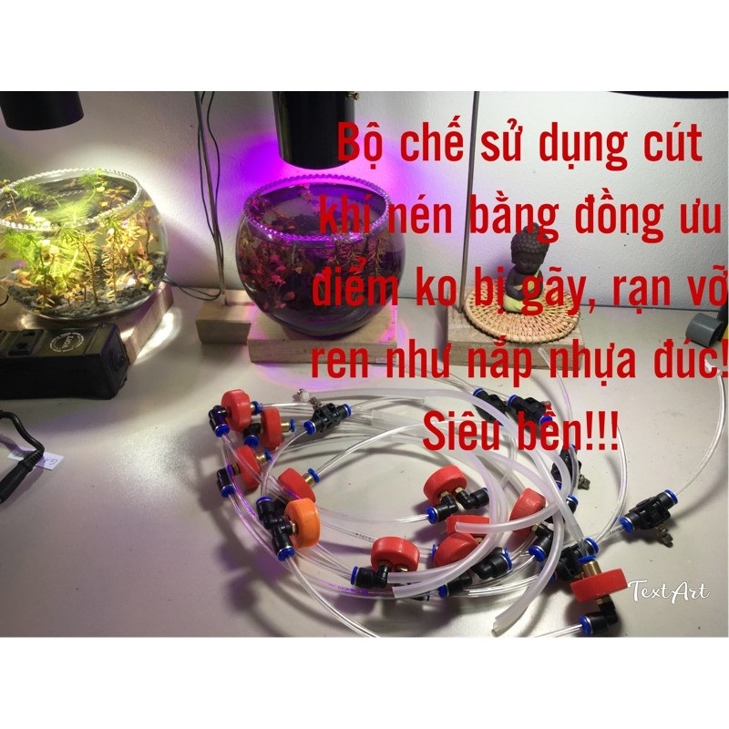 Chế CO2 thủy sinh bể cá tặng kèm bột pha chế
