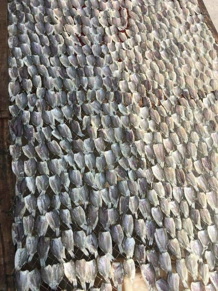 khô cá sặc đồng 500g