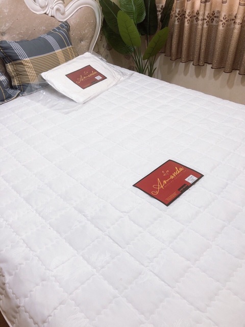 Ruột Chăn Hè Amanda Lông Vũ Bông Tấm 2Mx2M3