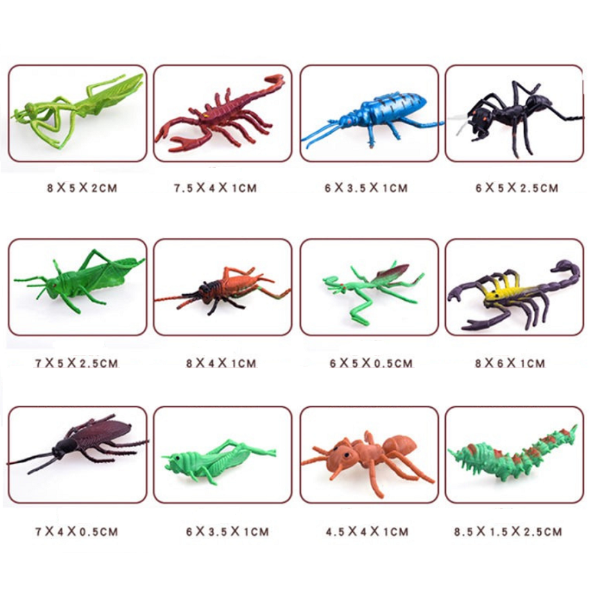 Set 22 loài côn trùng cho bé