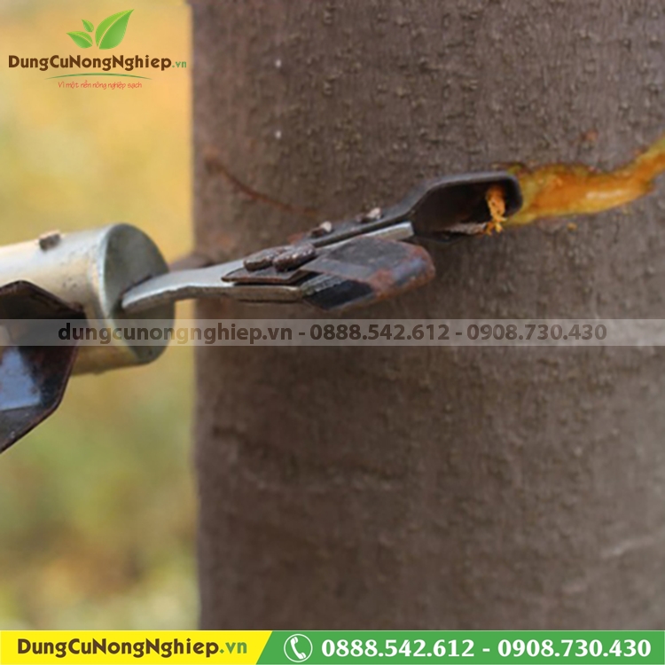 Dụng cụ khoanh cắt vỏ cây cán gỗ