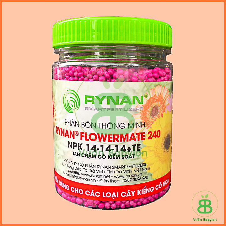 Phân Tan Chậm Rynan 240 Dưỡng Hoa Lâu Tàn