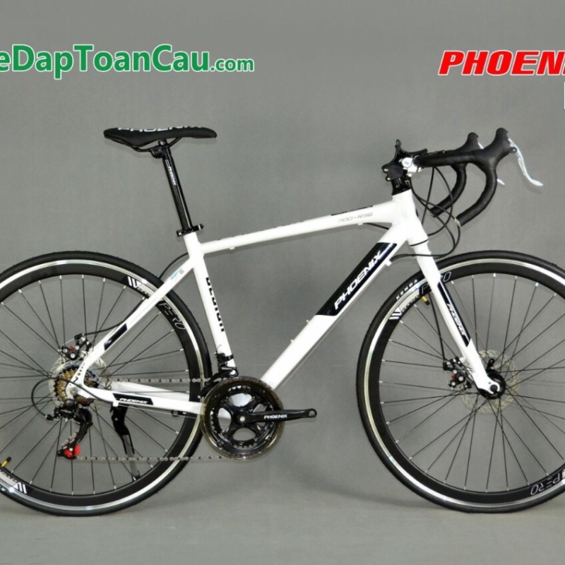 Phân phối Xe đạp đua