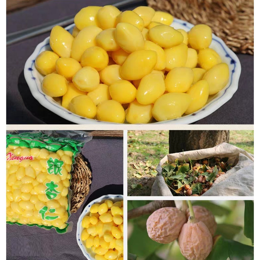 [HCM] Bạch Quả Tươi Tách Vỏ Gói 250g