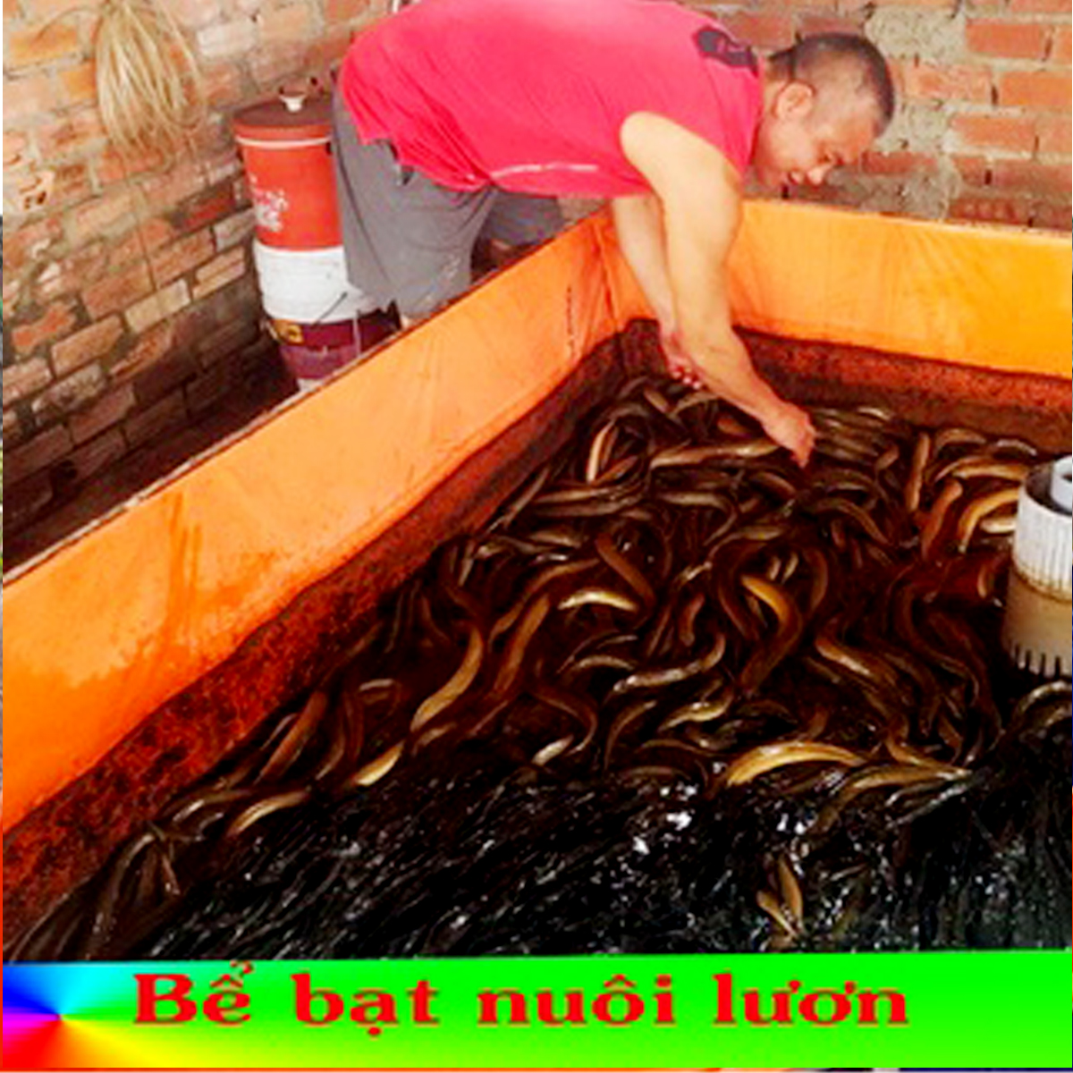 Bể bạt nuôi ốc, ếch, lươn, cá bạt 2 da loại 1 chất lượng nhiều kích thước lựa chọn