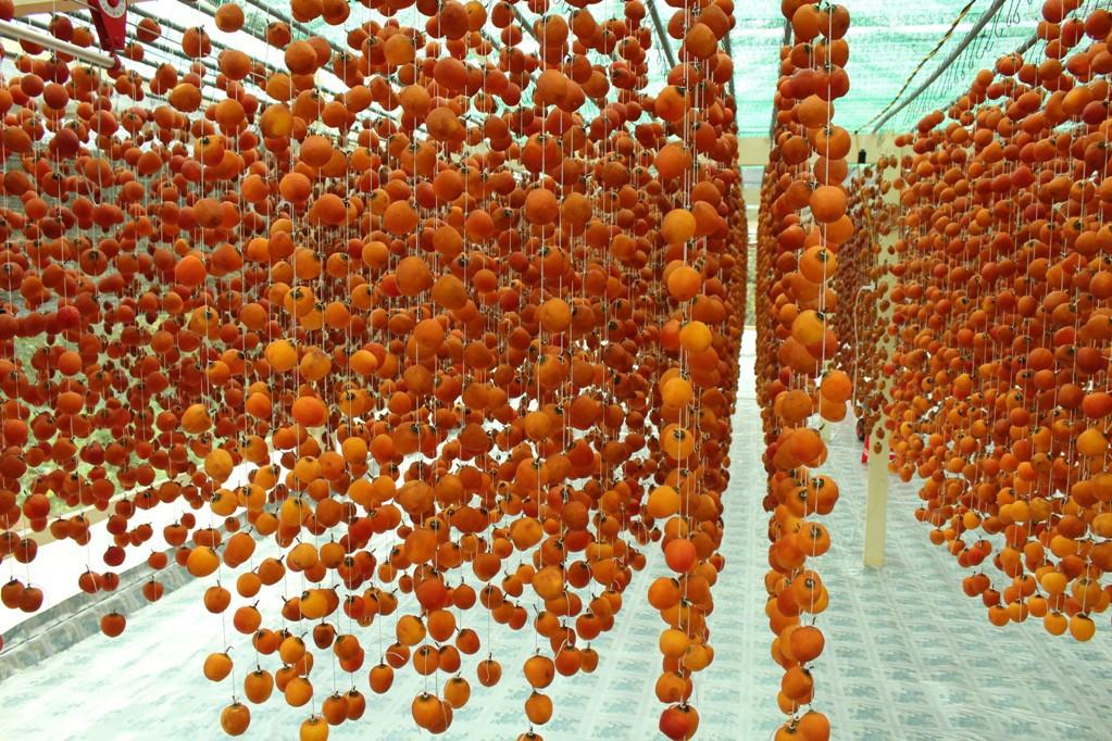 hồng treo gió Đà Lạt 500g