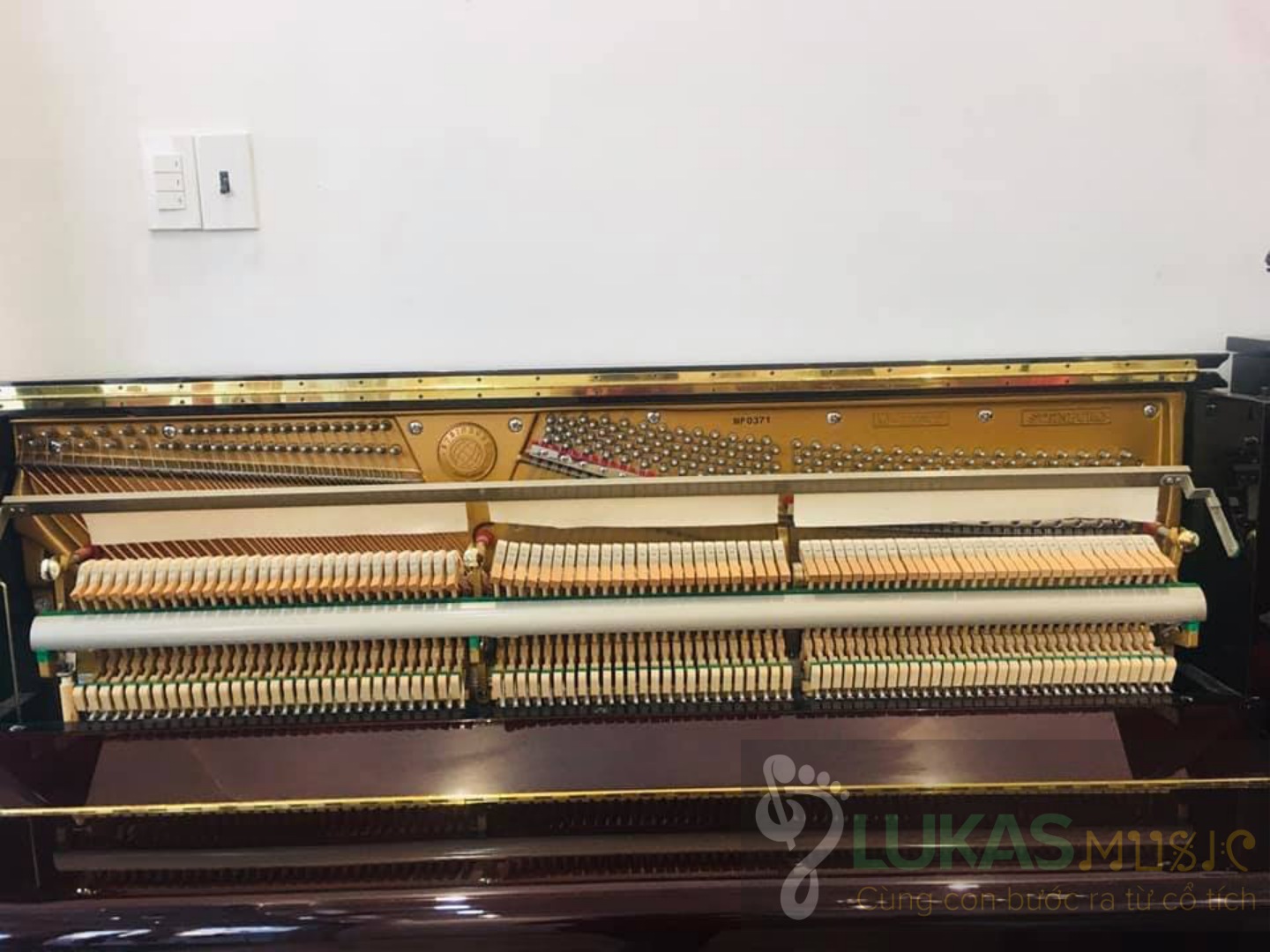 [HCM]ĐÀN PIANO STEINBURG - MP-119FCD