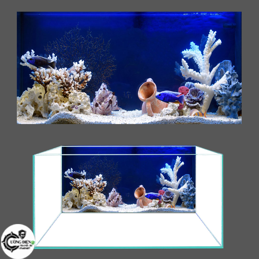 Tranh 3d dán bể cá cảnh L-Tranh 3d dán hồ cá siêu đẹp , siêu nét , có keo sẵn toàn bộ bề mặt của tranh , nhiều kích thướt chọn lựa ( 30 , 40 , 50 , 60,  70,  80cm...)