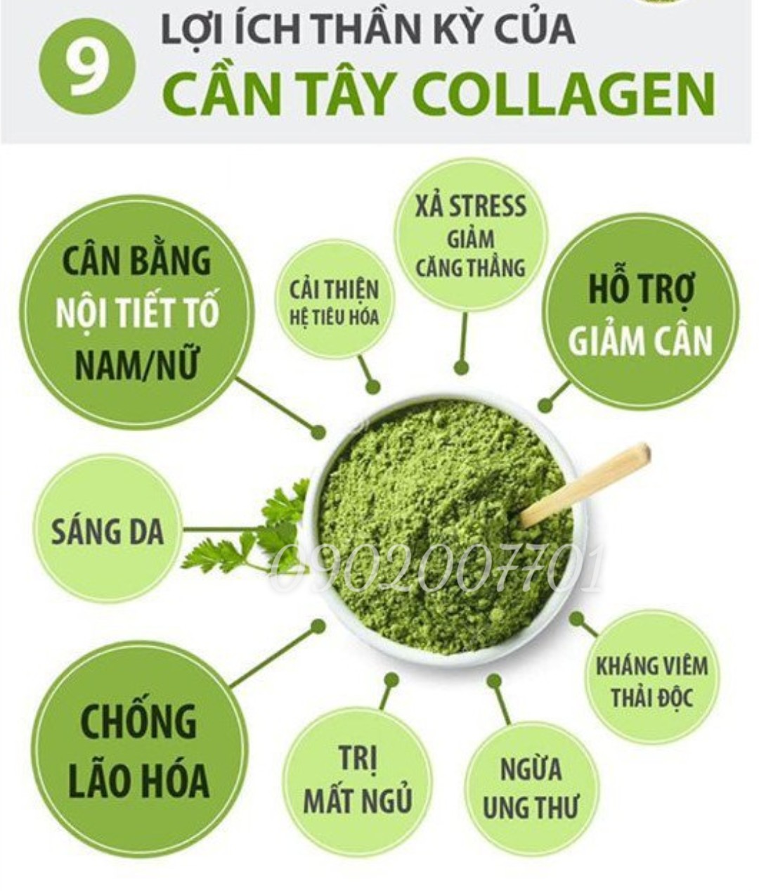 500g Bột cần tây sấy lạnh nguyên chất 100%