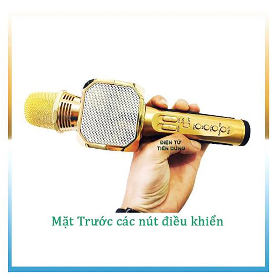 Mic Karaoke SD10 Kèm Loa Kết Nối Bluetooth Hàng Chuẩn
