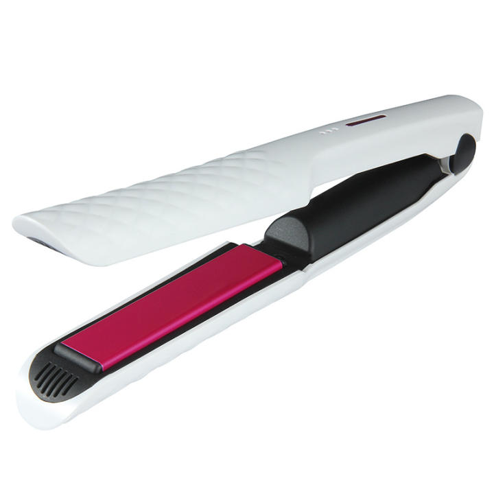 mini flat iron with temperature control