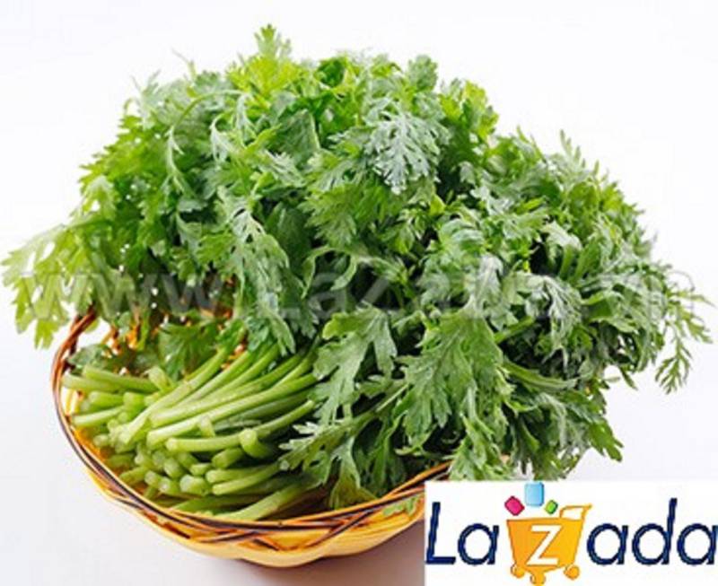 20Gr Hạt Giống Rau Tần Ô/ Cải Cúc Tẻ (A3.202| Y1*W65)
