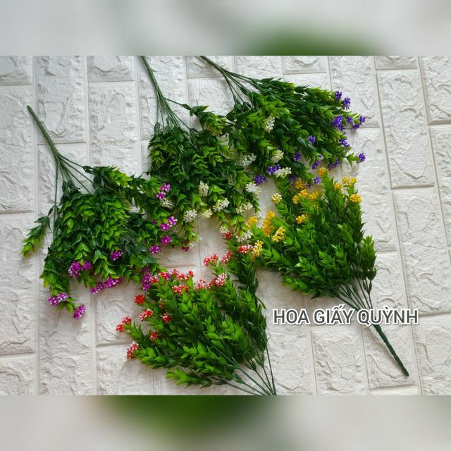 Cành điểm hạt ngâu