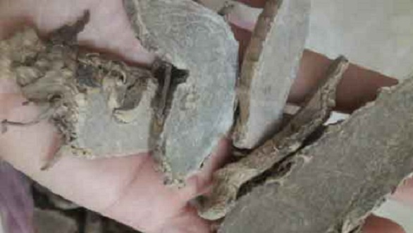 Nghệ đen khô thái lát túi 1kg