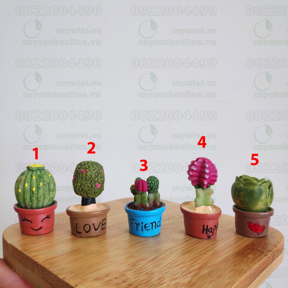 Chậu xương rồng mini - Phụ kiện trang trí Terrarium