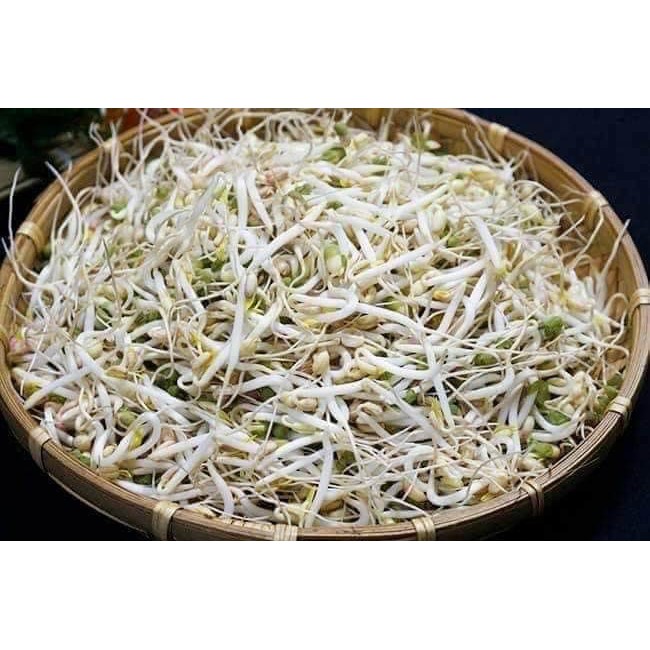 MÁY LÀM GIÁ ĐỖ, RAU MẦM SẠCH DT-103