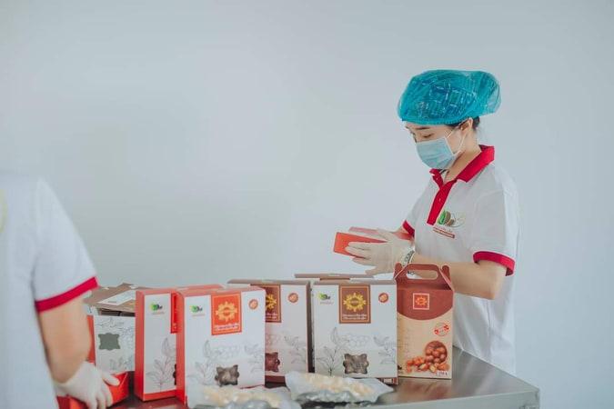 HẠT MACCA SẤY ĐĂK LĂK DAMACA NGUYÊN PHƯƠNG (HỘP 500GR SANG TRỌNG)