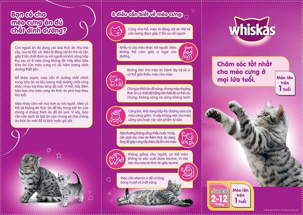 Pate cho mèo con Whiskas Junior 85g