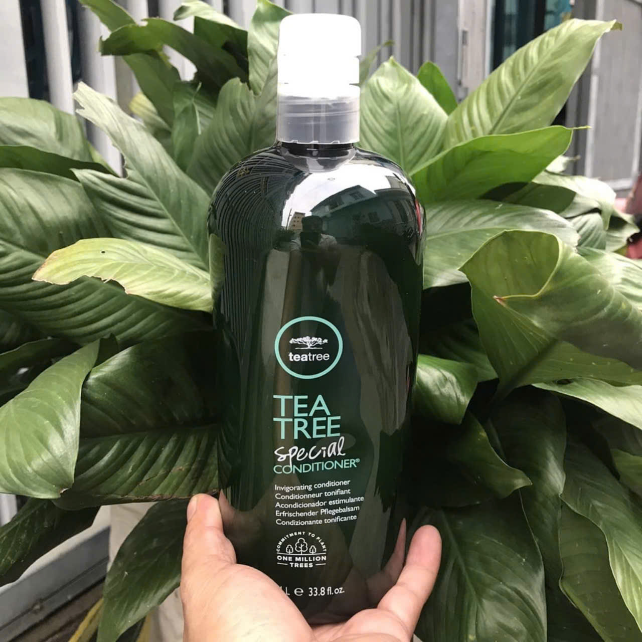 DẦU GỘI XẢ TRÀ XANH BẠC HÀ HỖ TRỢ TRỊI GÀU 1000ML, KHÁNG KHUẨN PAUL MITCHELL TEA TREE USA1000ml