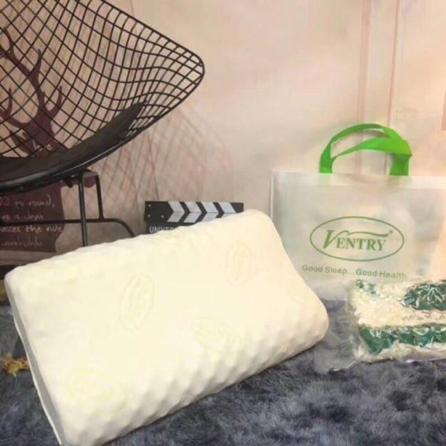 Gối cao su non Ventry cao cấp