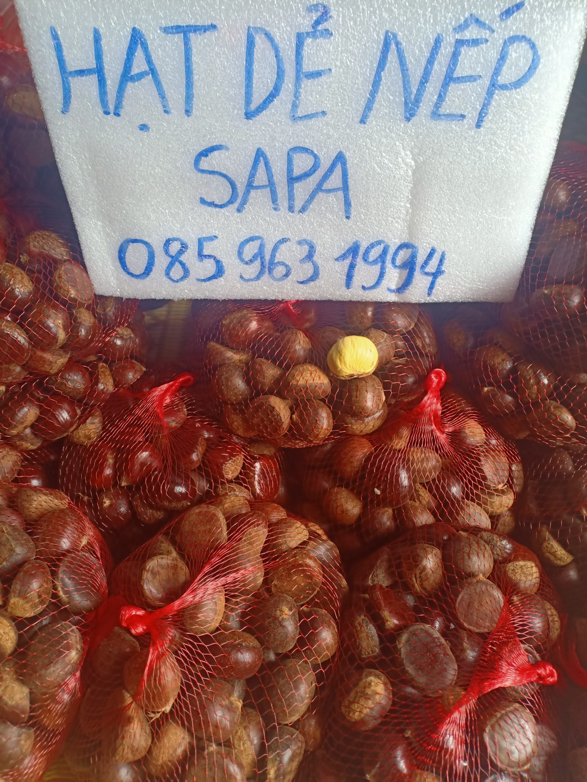 1kg hạt dẻ nếp tươi sapa (vừa vừa)