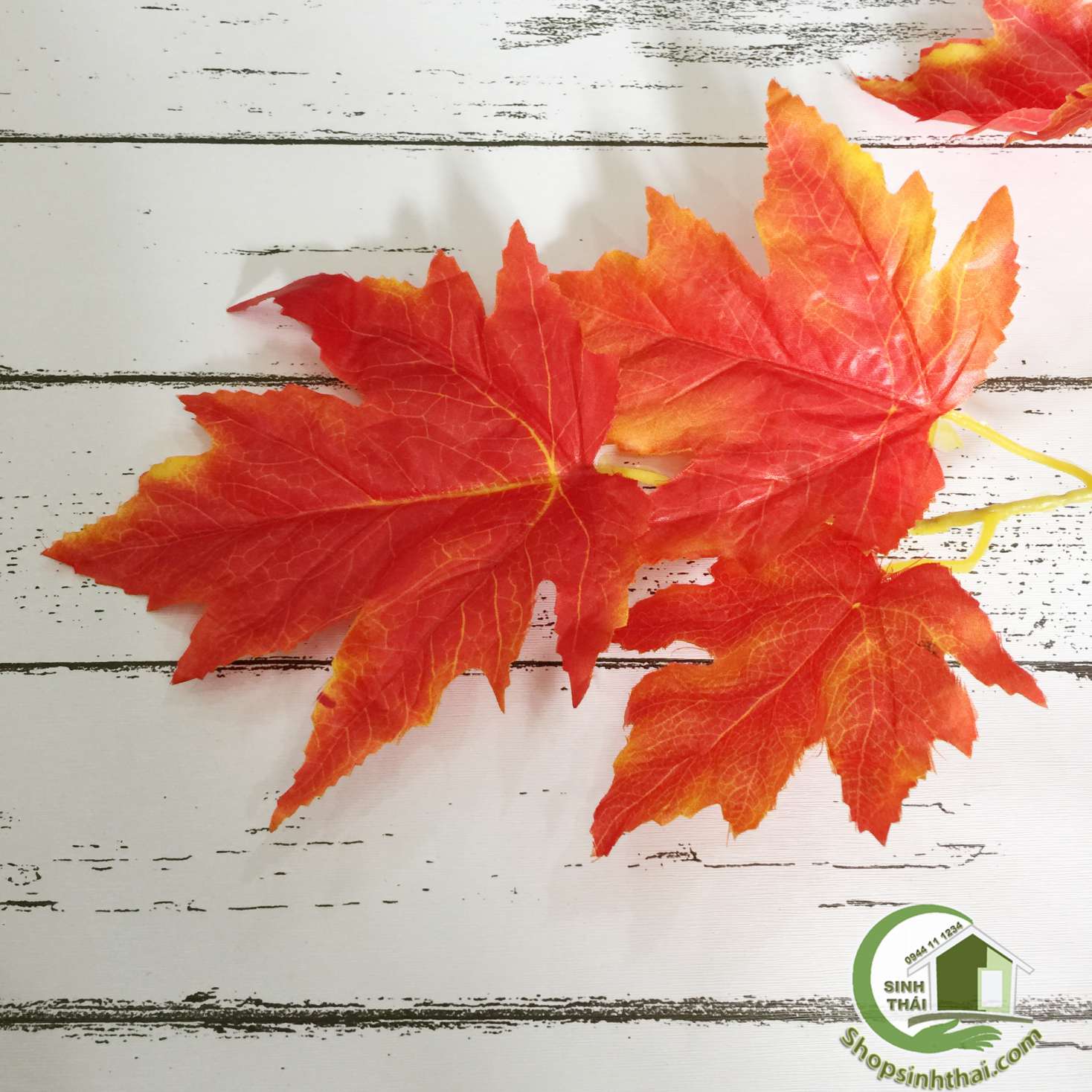 [HCM]Lá phong màu đỏ - phụ kiện chụp hình ảnh sản phẩm - 1 lá