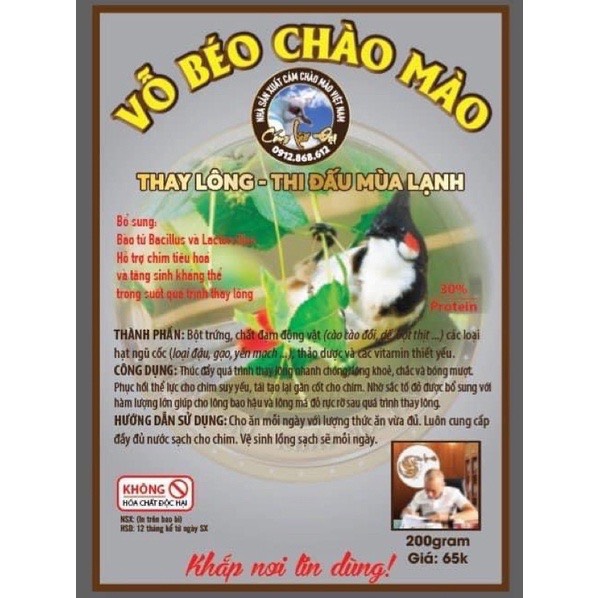 VỖ BÉO THAY LÔNG CHÀO MÀO