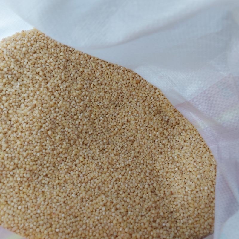 Hạt ý dĩ (hạt bo bo) 500g