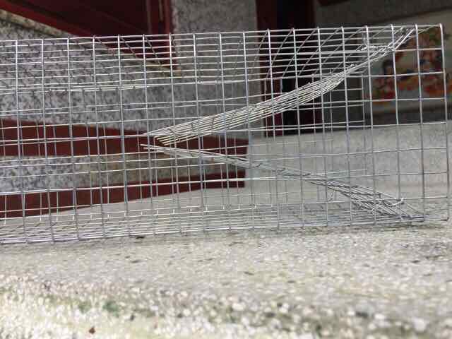 Lồng bẫy rắn thông minh đủ size