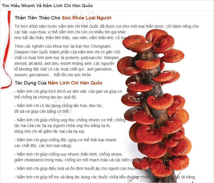 Nấm Linh Chi HQ Túi Sữa 1KG