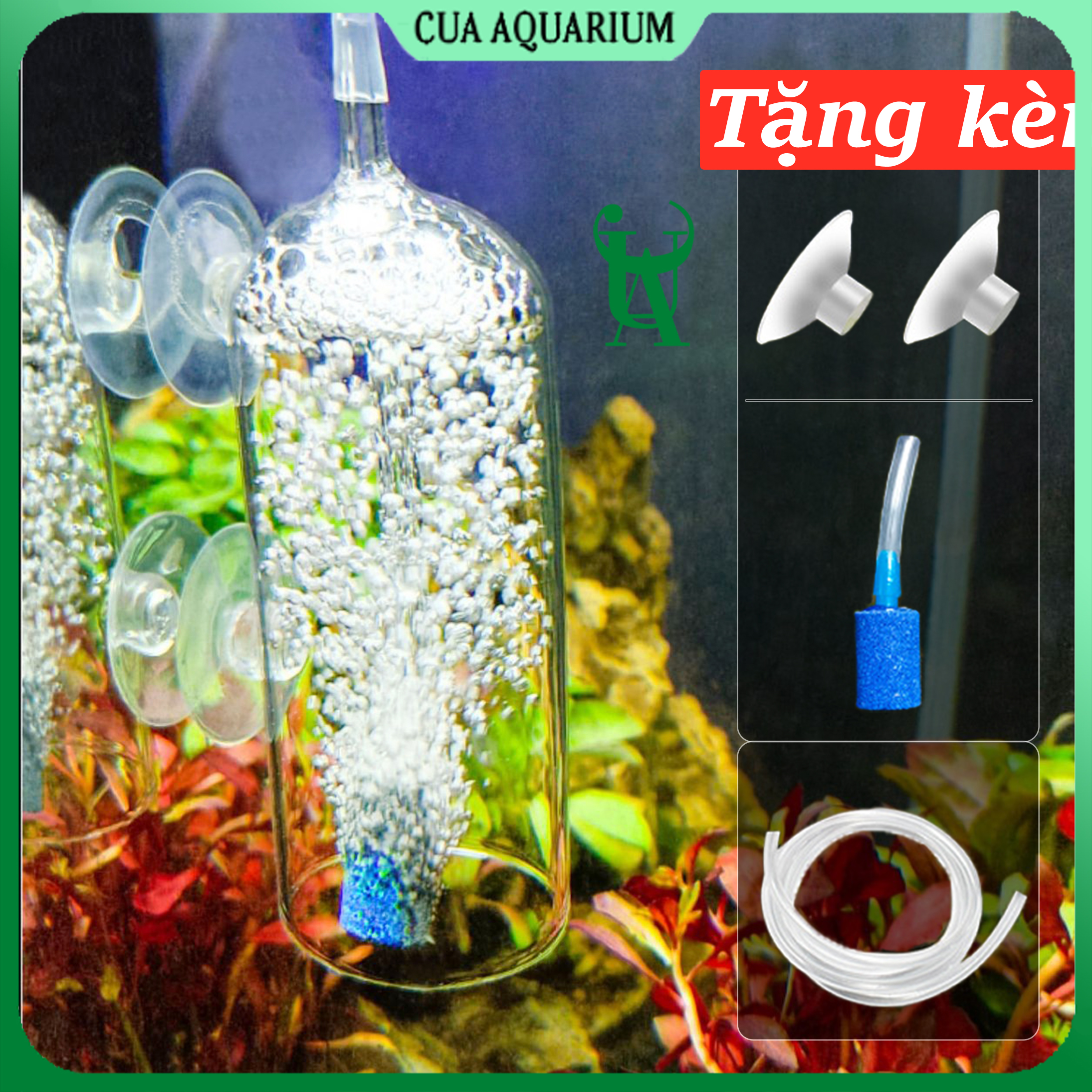 Cốc sủi oxy chống văng nước cho bể cá , bể thuỷ sinh bằng thủy tinh