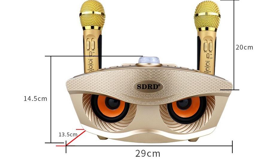 LOA KÈM MIC HÁT KARAOKE SD 306