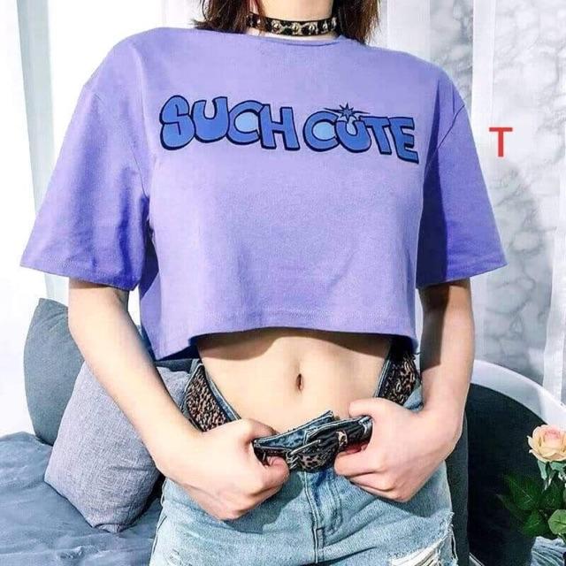 Áo croptop such dtr0220