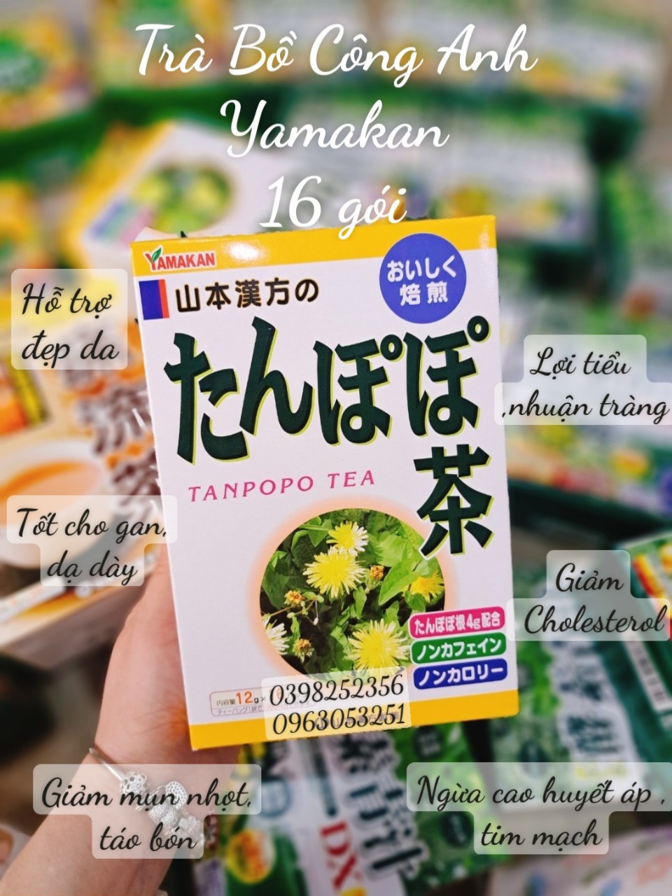 Trà túi lọc bồ công anh Tanpopo (16 túi)